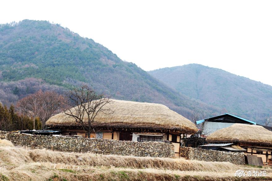 한걸음한걸음기억이깃든아산외암리민속마을에찾아온봄 31