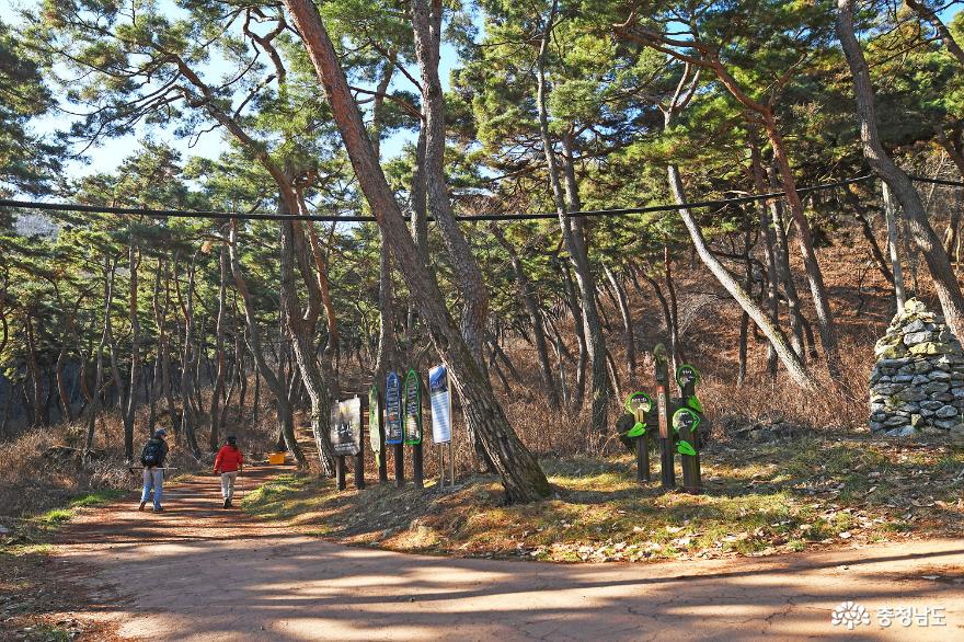 아름다운자연이있는천년의숲길을걸어보자 7