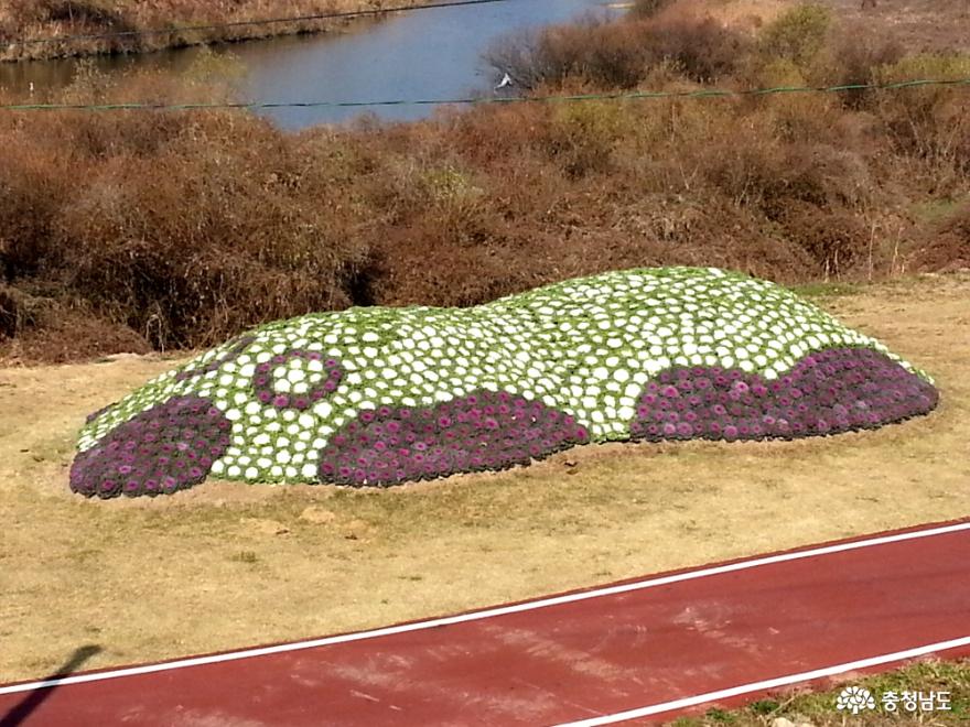 정안천생태공원의 추억어린 꽃 곰