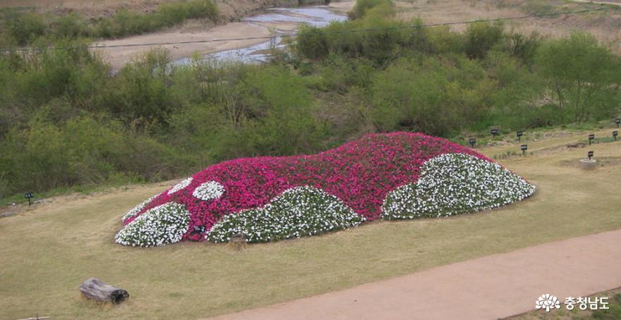 정안천생태공원 꽃 곰(2011년 4월 21일)