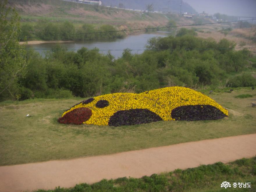 정안천생태공원 꽃 곰(2013년 5월 3일)