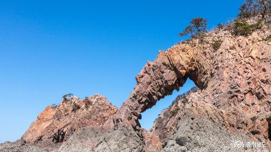 충남의 자랑할 만한 특이 관광자원, 서산 ‘황금산 코끼리바위’ 사진