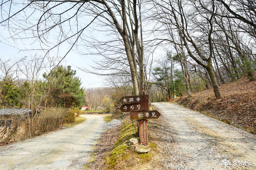 시간 속 여행, 아산 문화재 형제송을 찾아 떠난 이야기 사진