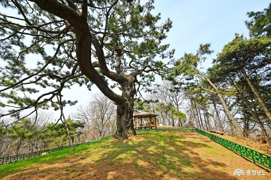 시간 속 여행, 아산 문화재 형제송을 찾아 떠난 이야기 사진