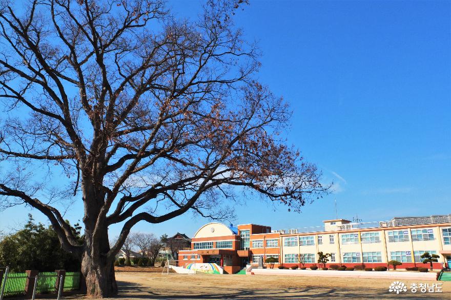 여러분과 함께 걷고 싶은 우리동네 산책 코스를 소개합니다 4