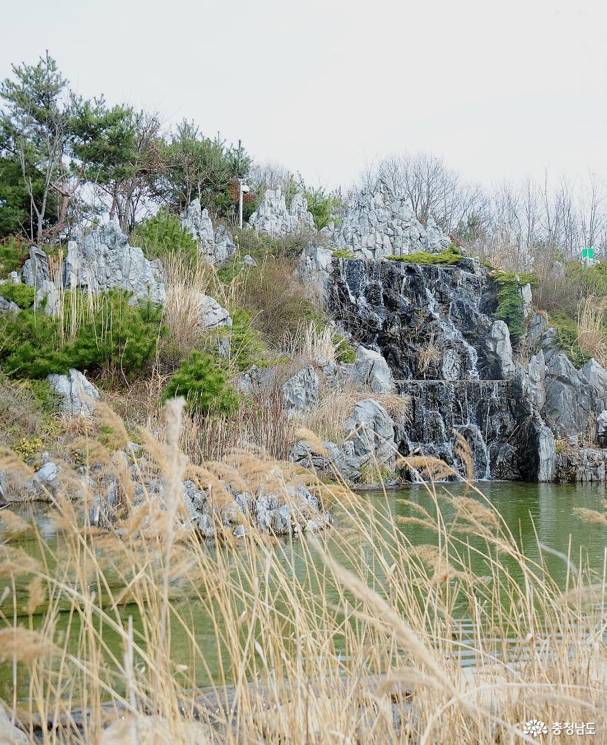 봄에 꼭 가보자, 서천 국립생태원 사진