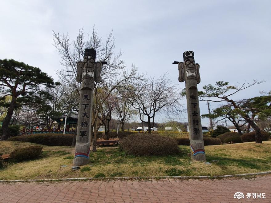 버들나무가 많은 천안 제1경 삼거리공원 사진