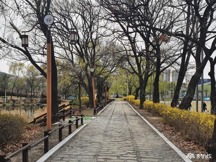 버들나무가 많은 천안 제1경 삼거리공원 사진