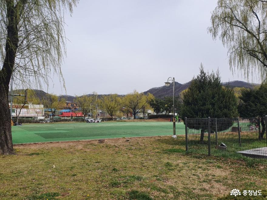 버들나무가 많은 천안 제1경 삼거리공원 사진