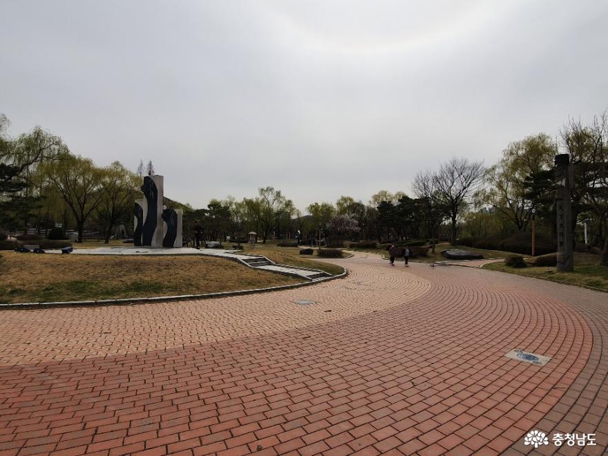 버들나무가 많은 천안 제1경 삼거리공원 사진