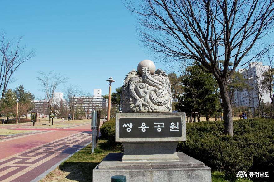코로나19로 인한 답답함 해소, 천안 쌍용공원 산책으로!! 사진