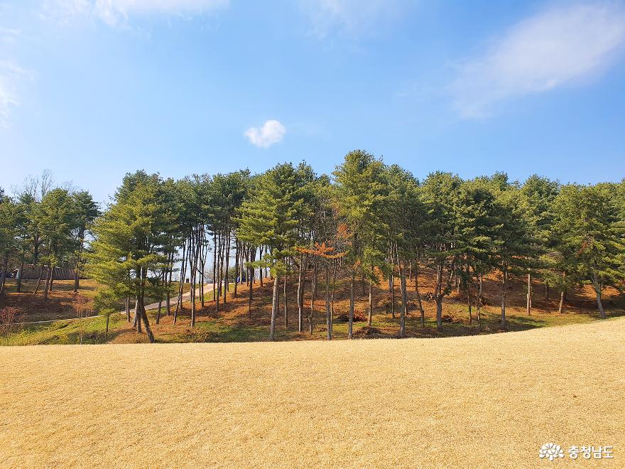세계유산 백제역사유적지구, 송산리고분군 사진