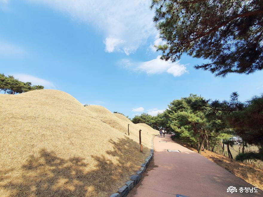세계유산 백제역사유적지구, 송산리고분군 사진