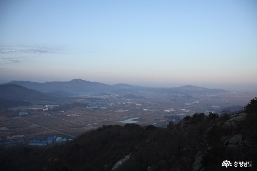 연분홍빛 진달래꽃 만발한 아산 고용산 사진