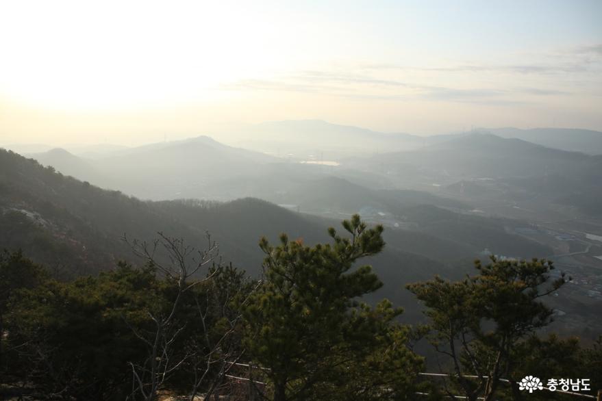 연분홍빛진달래꽃만발한아산고용산 7