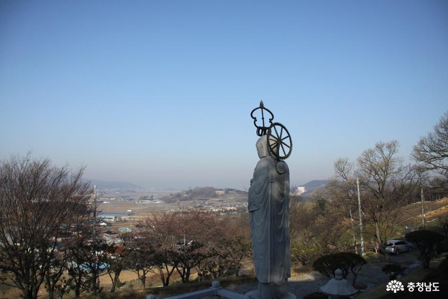 연분홍빛 진달래꽃 만발한 아산 고용산 사진