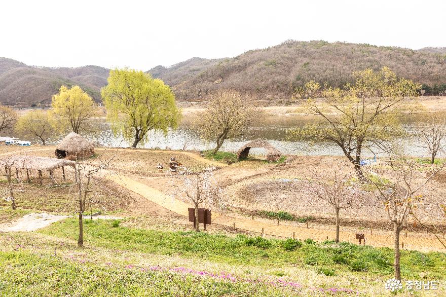 공주 금강변의 초록 봄 사진