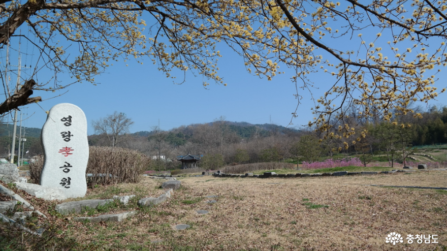 영랑효공원