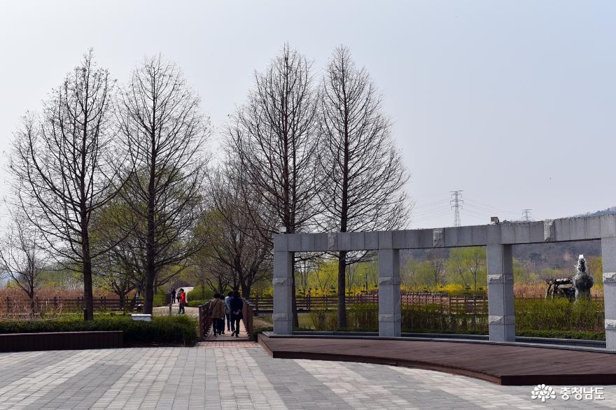 봄향기가 느껴지는 탑정호 수변생태공원 사진