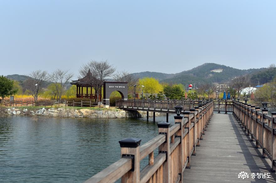 봄향기가 느껴지는 탑정호 수변생태공원 사진