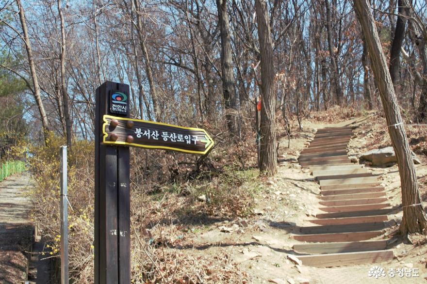 천안 백석동 어린이공원에서 봉서산 정상과 구름다리까지 산책