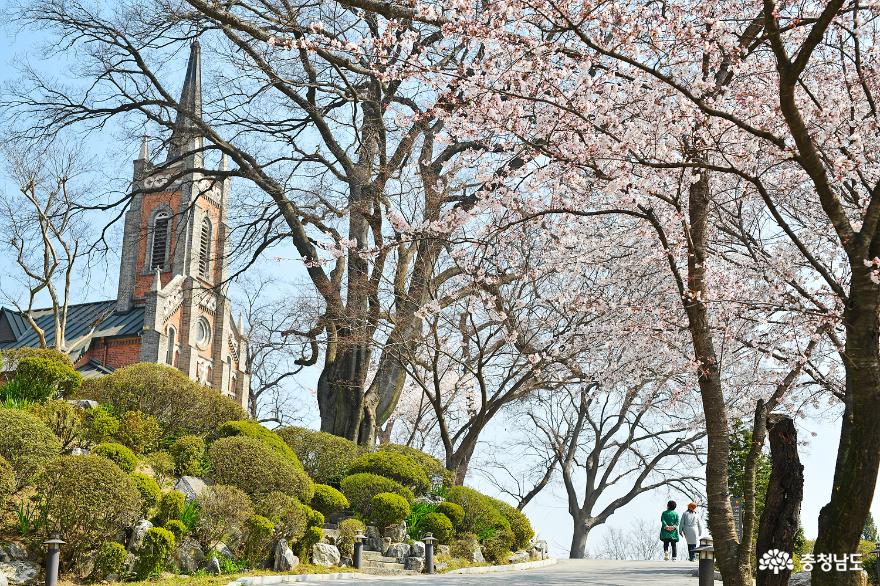 내마음속동화같은풍경이있는공세리성당 10