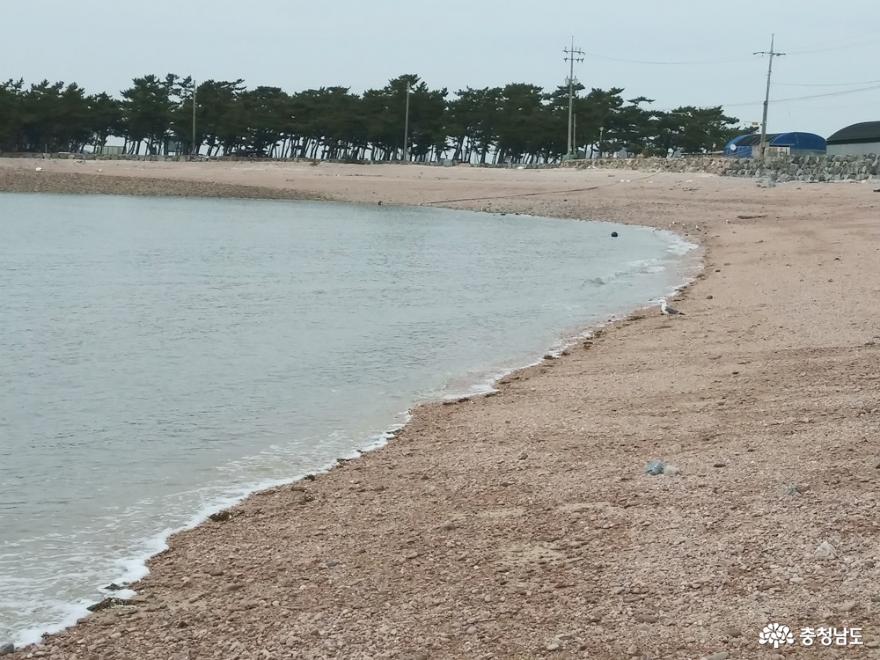 드넓은 바다 앞에서 느끼는 일상의 감사함 사진