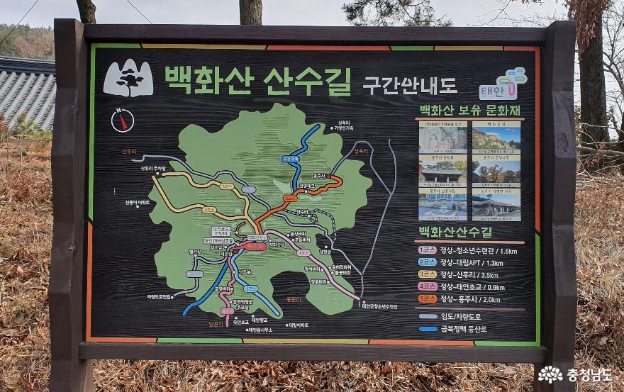 태안 백화산 산행로.