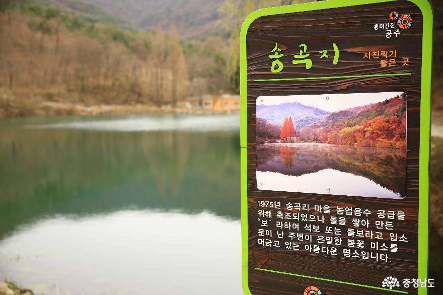 송곡지