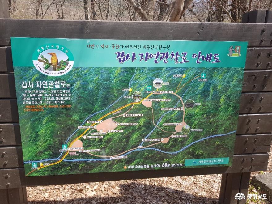 평일에찾은계룡산국립공원 7
