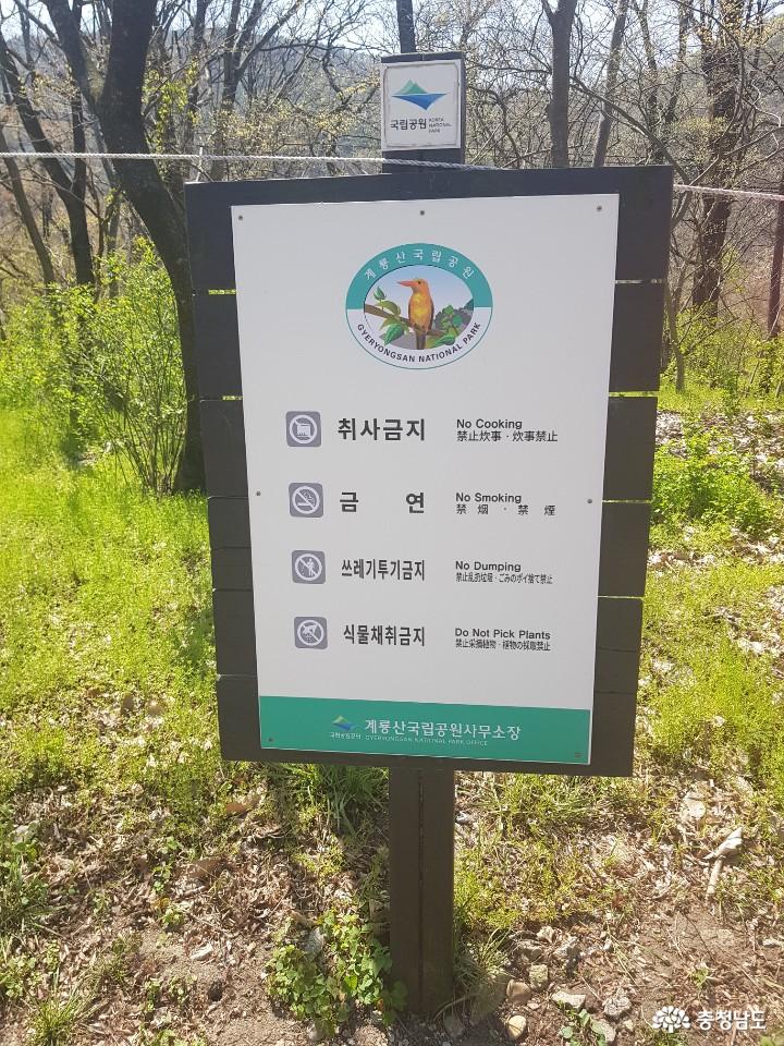 평일에찾은계룡산국립공원 9