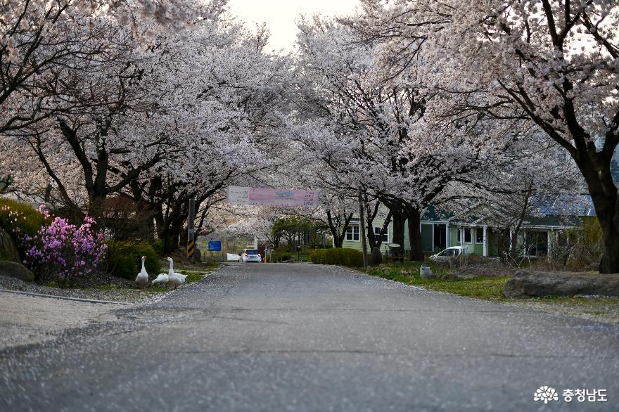 아산 당림미술관