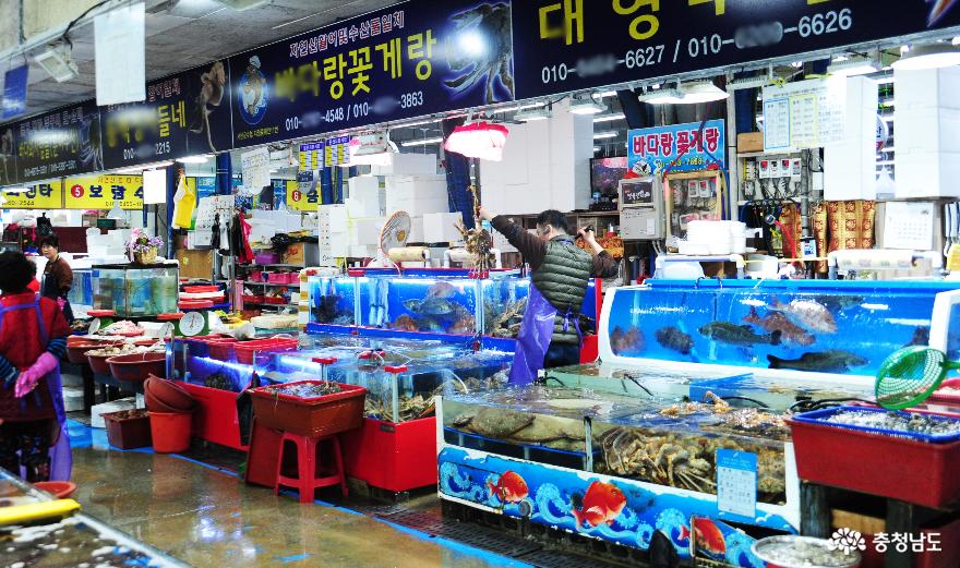 싱싱한해산물천국서천수산물특화시장 8