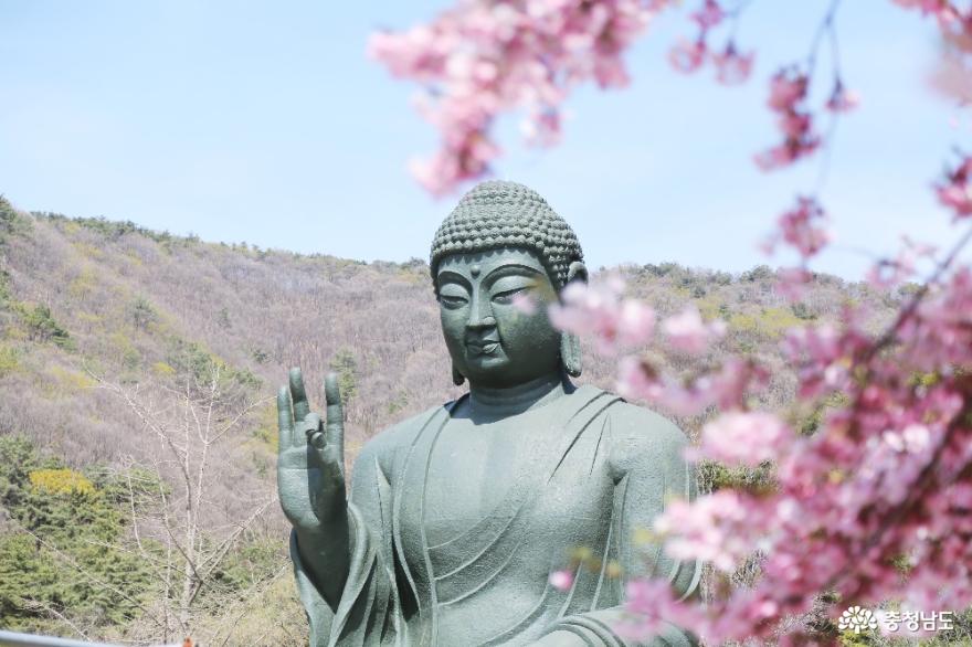부처님오신날준비가한창인각원사의봄풍경 2