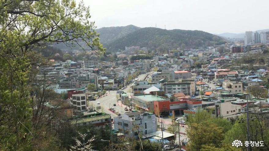 공주시옥룡정수장 언덕 위의 봄날은 간다