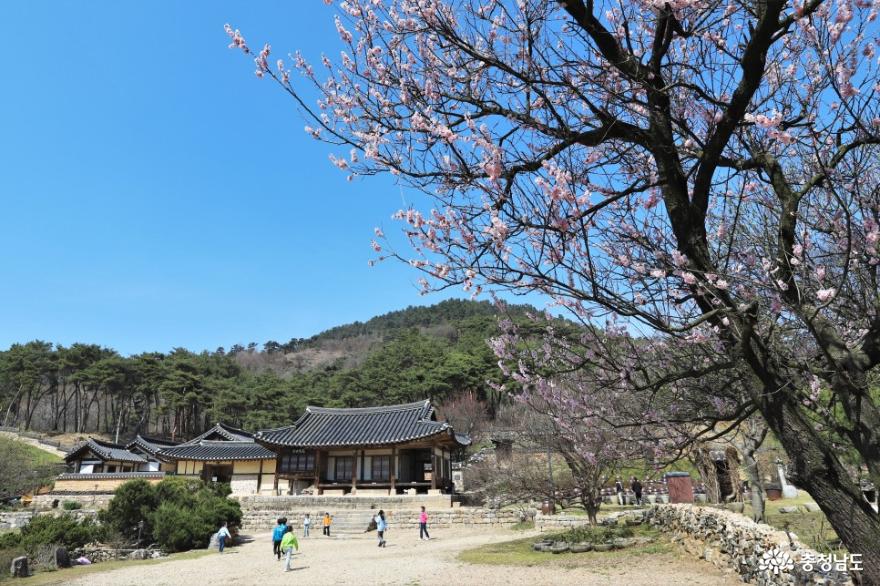 여행 - 노성산에서 즐기는 일석삼조 여행 - 충청남도 노성산에서 즐기는 일석삼조 여행