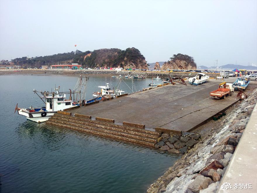 올봄 보양식은 당진 장고항 실치로 끝낸다 사진