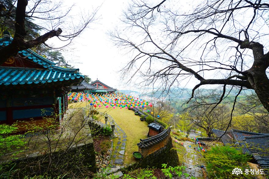 고즈넉하고 아름다운 봄, 천안 태조산 성불사