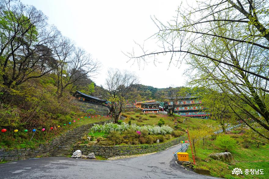 고즈넉하고아름다운봄천안태조산성불사 2