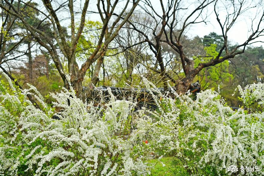 고즈넉하고아름다운봄천안태조산성불사 10