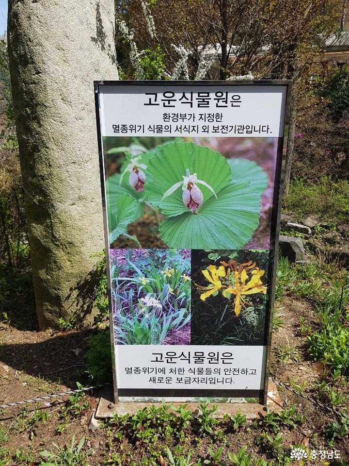 친환경 자연생태식물원 청양고운식물원 사진