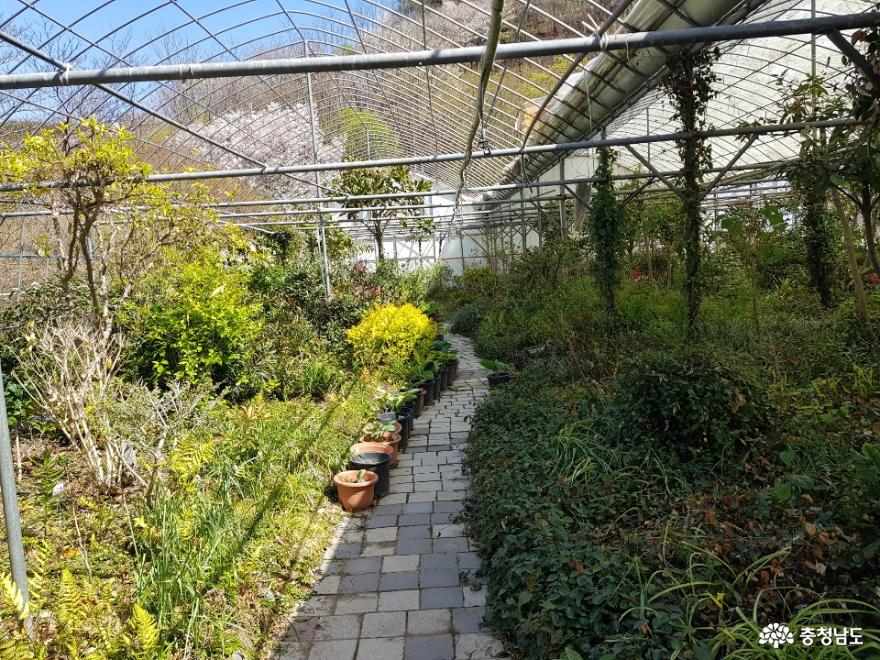 친환경 자연생태식물원 청양고운식물원 사진