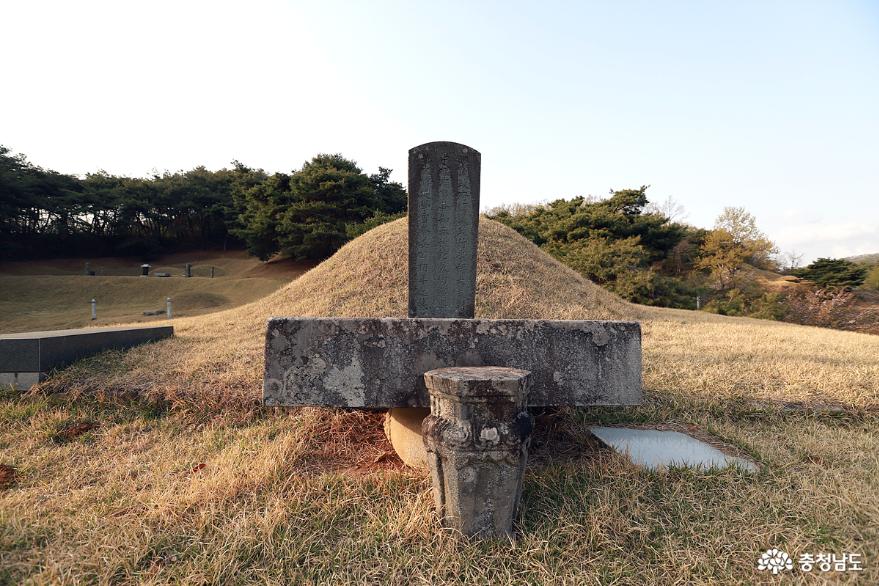 충청도 관찰사 강백년을 아시나요? 사진