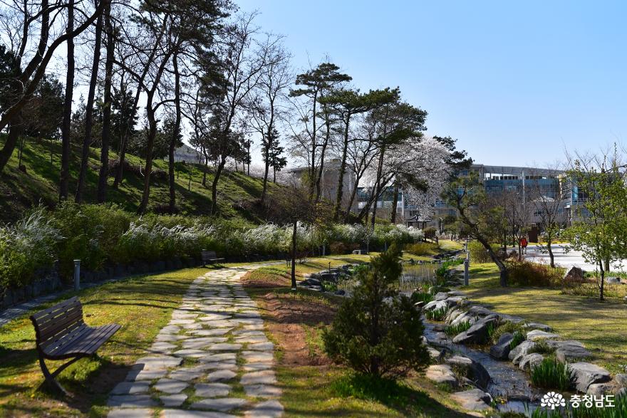 논산 시민공원에서 꽃길만 걷자 사진