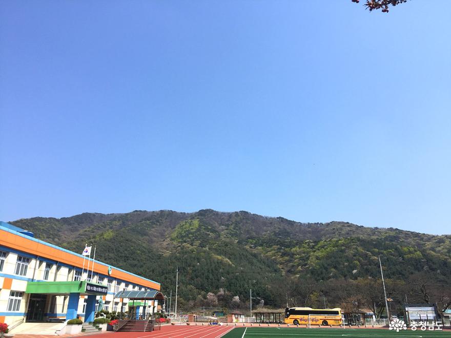 아름다운 성주산을 배경으로 위치한 성주초등학교