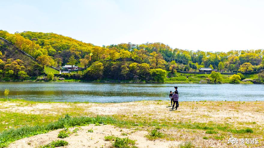 '코로나19 주춤' 금강변 미르섬 주말 나들이 풍경 사진
