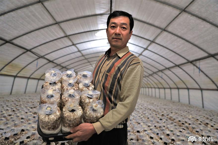 톱밥배지 표고버섯의 선구자 김종대 대표 사진