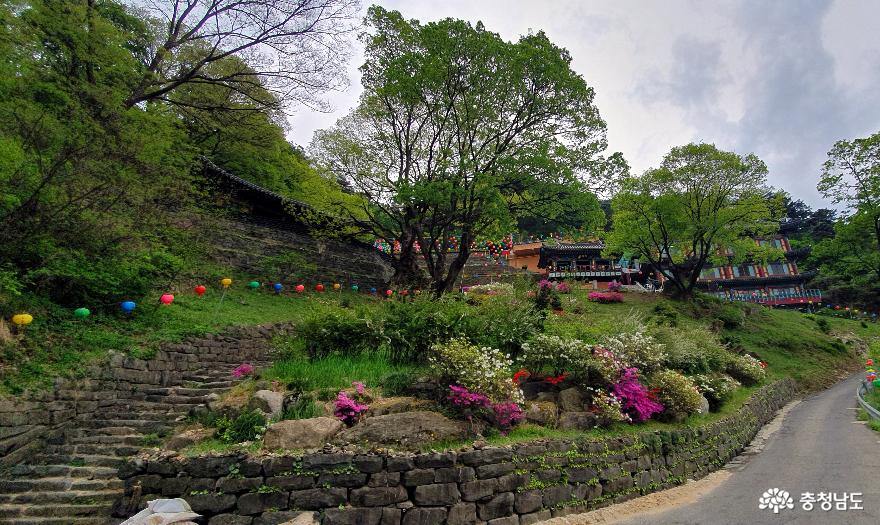 천년고찰 천안 성불사 전경 1