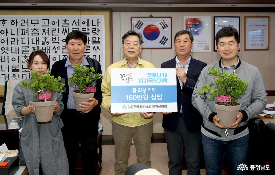 한국화훼협회 태안군분회, 코로나19 자가격리자 위한 ‘사랑의 꽃 화분’ 기탁!