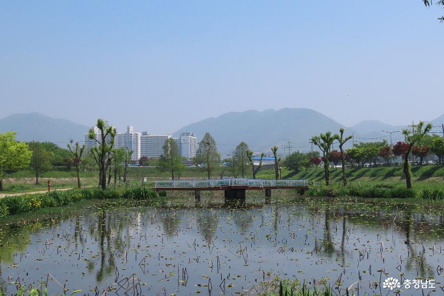 예산 창소유수지공원